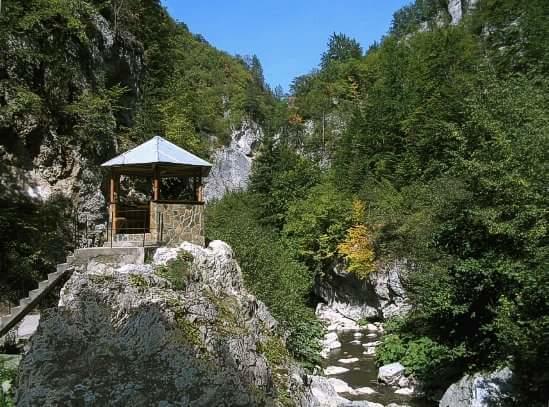 Yagodina Family Hotel Luaran gambar